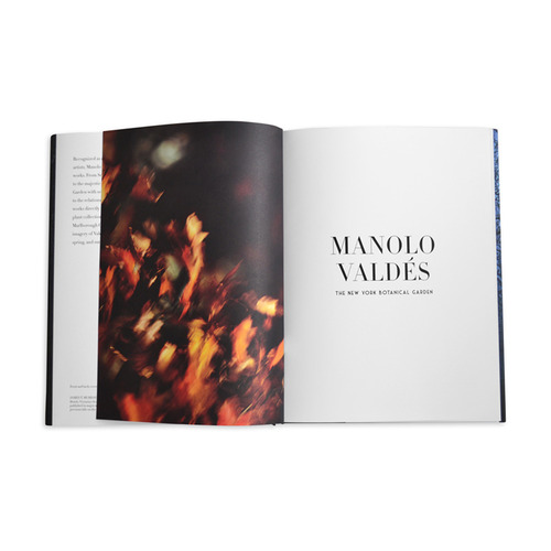MANOLO VALDÉS - THE NEW YORK BOTANICAL GARDEN